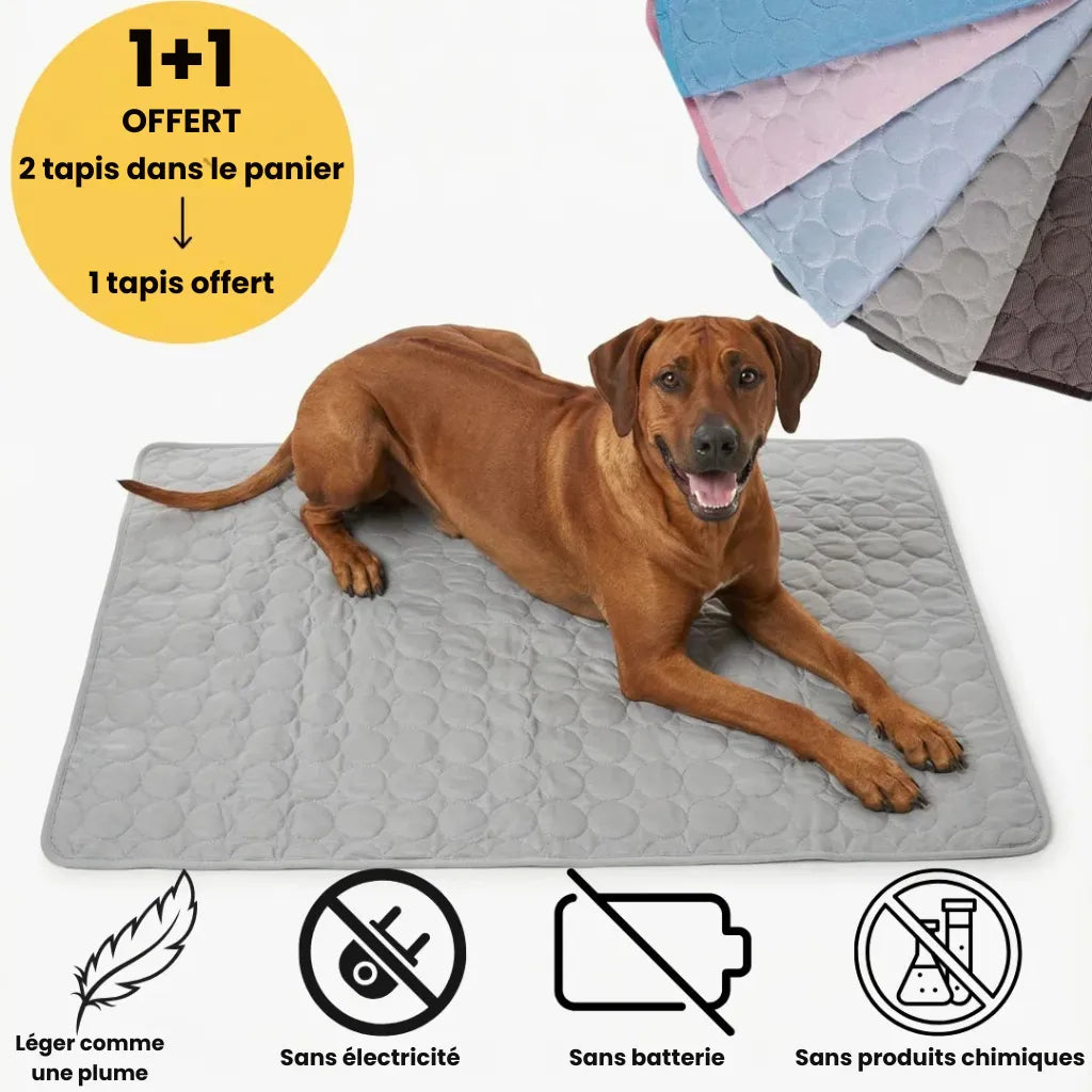 Tapis Rafraîchissant pour l'Été | OFFRE 1+1