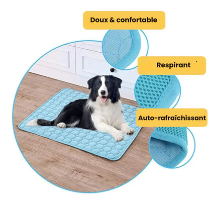 Tapis Rafraîchissant pour l'Été | OFFRE 1+1