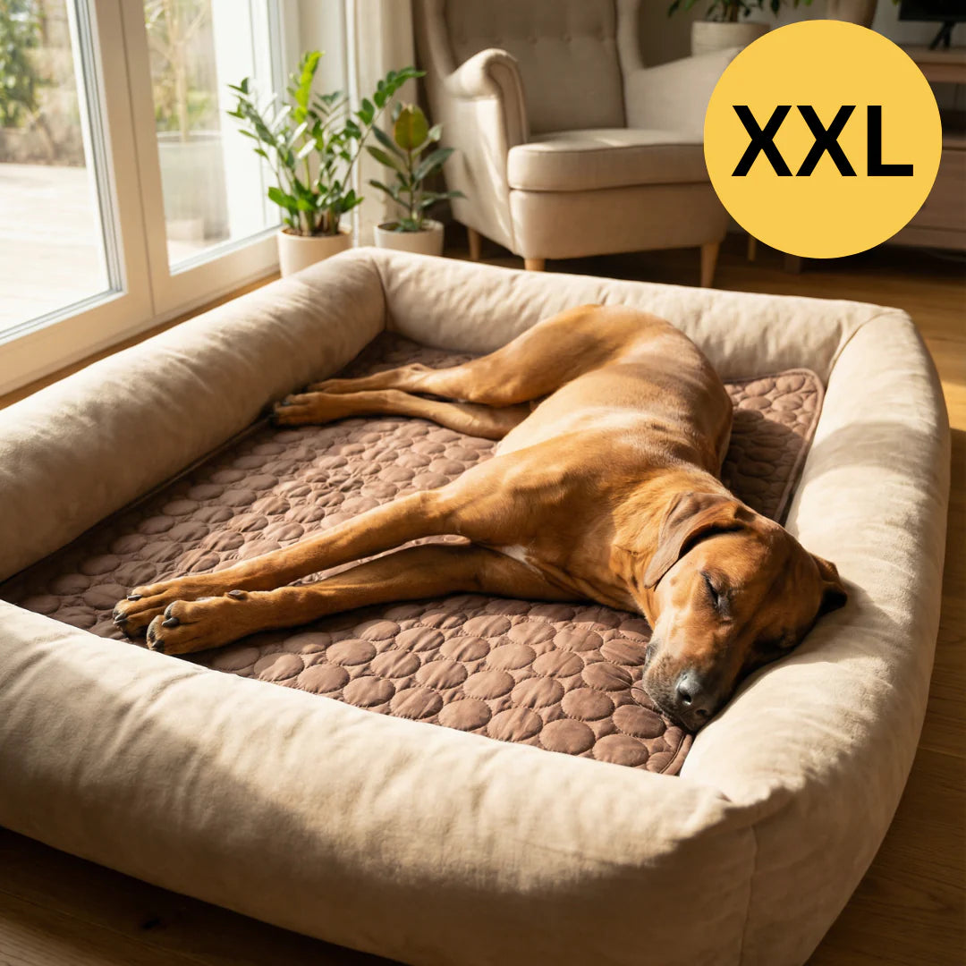 Tapis Rafraîchissant pour l'Été | OFFRE 1+1