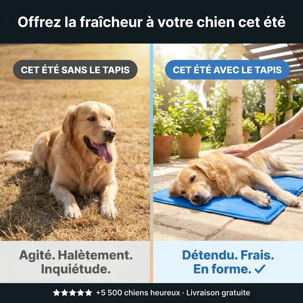 Tapis Rafraîchissant pour chien