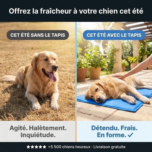 Tapis Rafraîchissant pour chien